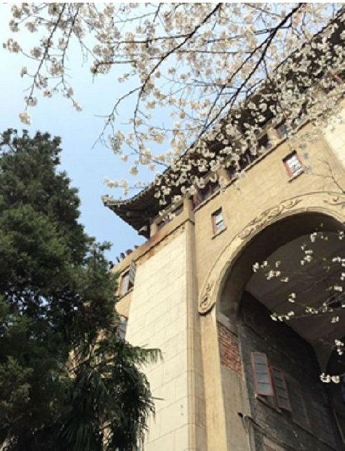 2020年3月13日，武漢站 居家云辦公，服務(wù)不打烊.png