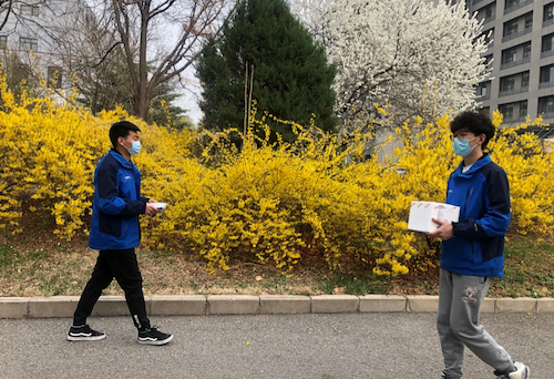 較往日靜謐的中科院北郊園區(qū)，怒放的迎春花注視著奔波于各研究所“無接觸配送”的“喀斯瑪藍(lán)” .png